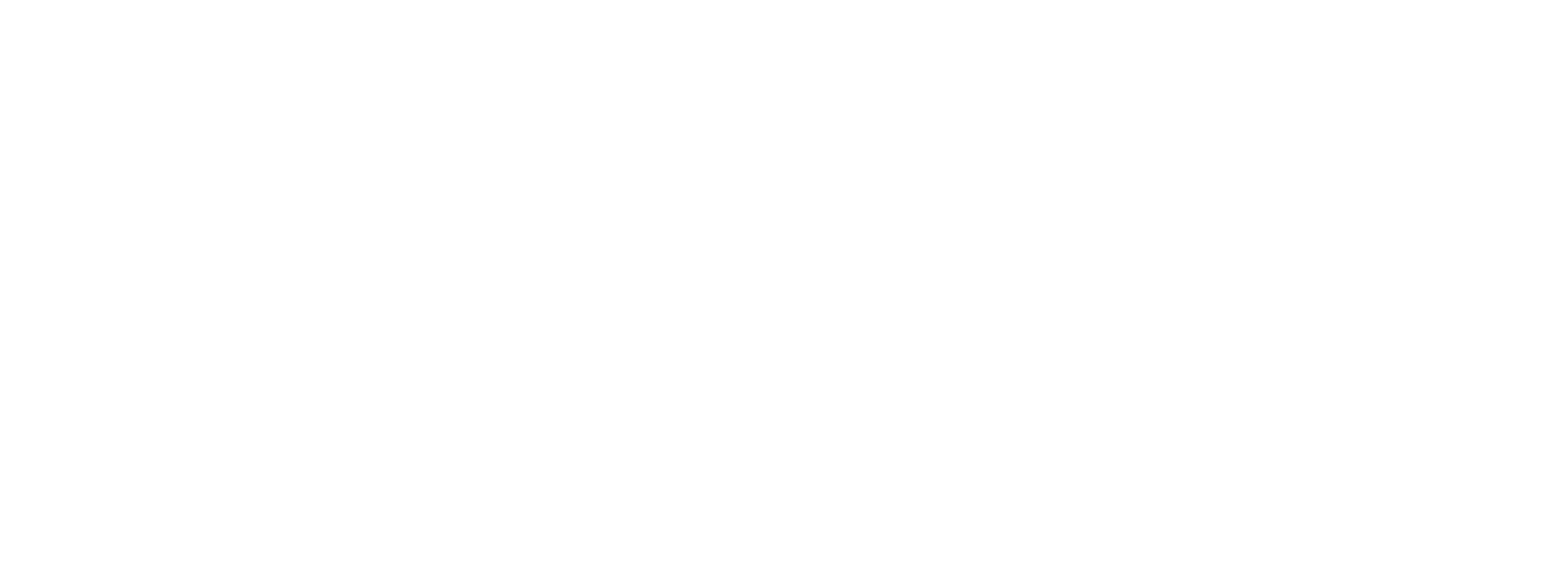 Bridging Innovation